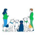 Accompagnement education du chiot